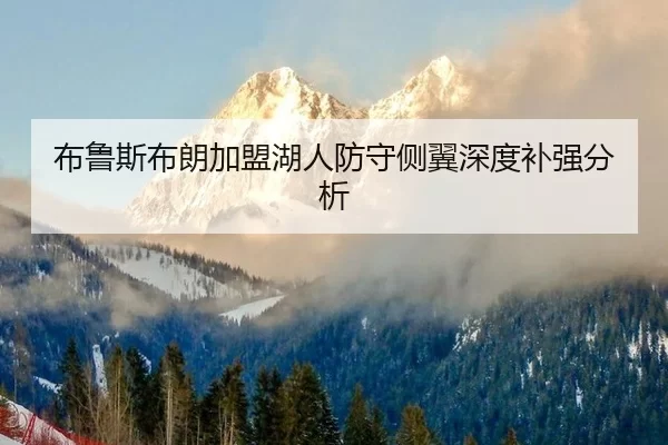 bu-lu-si-bu-lang-jia-meng-hu-ren-fang-shou-ce-yi-shen-du-bu-qiang-fen-xi-3-564.jpg